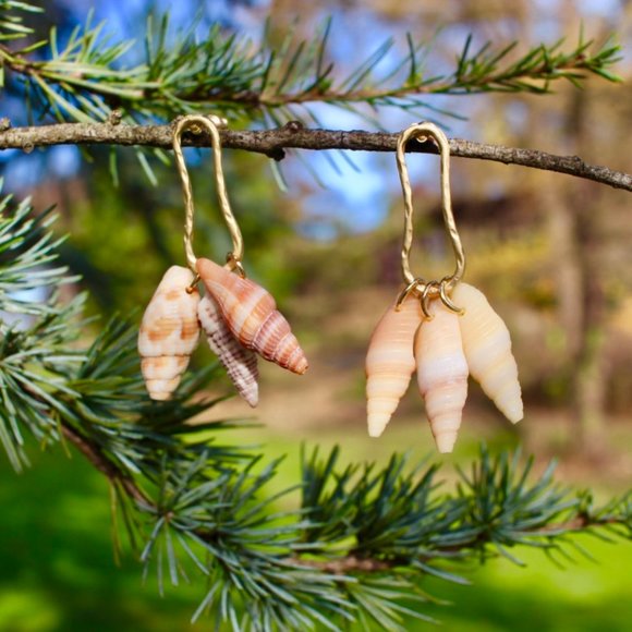 New Natural Seashell beach summer Dangle Earrings - Picture 1 of 12